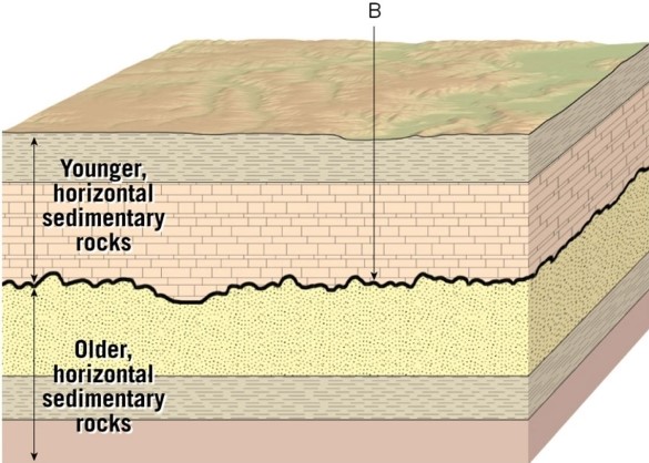   What kind of unconformity is visible in this figure? The unconformity in the question is indicated by the Arrow B. A) Disconformity B) Nonconformity C) Angular unconformity
