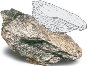   What is the name of this rock? A) Slate B) Quartzite C) Schist D) Gneiss