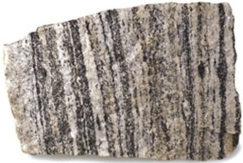   Assume that this foliated rock is oriented so that north is at the top of the image.From which compass directions is the greatest differential stress coming? A) North and south B) North and east C) South and west D) West and east