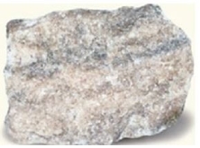   What is the texture of this rock? A) Schistosity B) Nonfoliated C) Slaty cleavage D) Gneissic banding