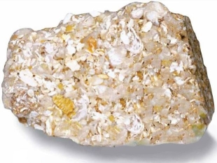  What is the name of the rock in the above image? A) Breccia B) Limestone C) Shale D) Coquina