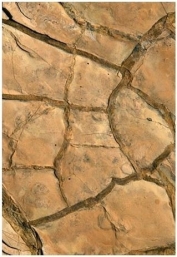   What sedimentary structure is visible in this image? A) Mudcracks B) Graded bedding C) Ripplemarks D) Cross-bedding