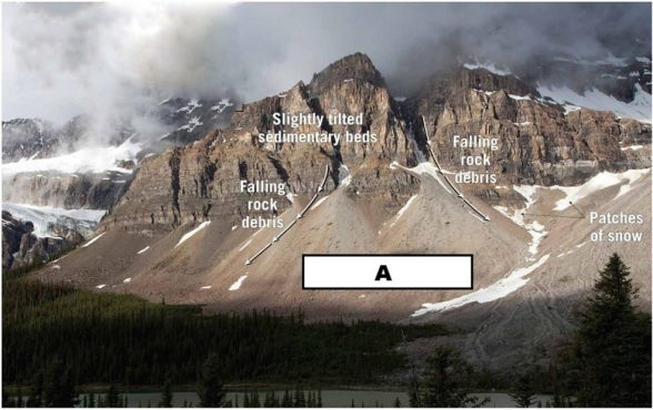   Study this image and think about what the climate is like in this region.Which weathering process would you assume is responsible for material A? A) Dissolution B) Hydrolysis C) Frost wedging D) Exfoliation
