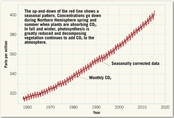   What was the approximate concentration of CO<sub>2</sub> in the atmosphere in 1965? Use the smoothed curve for seasonally corrected data to make the determination. A) 400 ppm B) 380 ppm C) 340 ppm D) 320 ppm