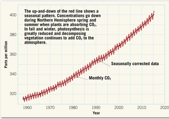  What was the approximate concentration of CO<sub>2</sub> in the atmosphere in 2015? Use the smoothed curve for seasonally corrected data to make the determination. A) 400 ppm B) 380 ppm C) 340 ppm D) 320 ppm