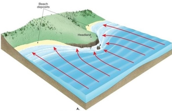   Which areas on this image will be dominated by deposition and which will be dominated by erosion? A) Beaches will be dominated by erosion and the headland will be dominated by deposition. B) Both the beaches and the headland will be dominated by deposition. C) Beaches will be dominated by deposition and the headland will be dominated by erosion. D) Both the beaches and the headland will be dominated by erosion.