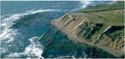   What coastal erosion feature is visible in this image? A) Sea stack B) Estuary C) Wave-cut platform D) Sea arch