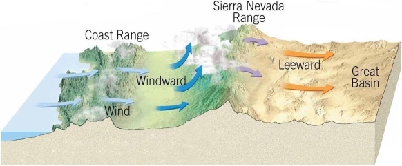   Why does the rainshadow desert form on the downwind side of the mountains? A) The air mass has absorbed all the moisture on that side as it descended. B) The mountains block wind from that region, making it hot. C) The sediments on the downwind side are porous. D) The moisture was precipitated from the air mass on the upwind side.