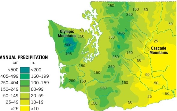   Based on the precipitation data available here, which region in Washington State would be the most likely location of a rainshadow desert? A) West in the Olympic Mountains B) Southeastern Washington C) Central Washington in the Cascade Mountains D) Southwestern Washington
