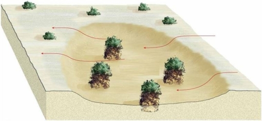   What feature is visible in this image? A) Blowout B) Bajada C) Desert pavement D) Ventifact