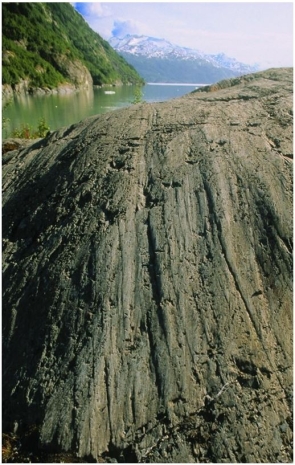   Which method of glacial erosion is responsible for the marks in this image? A) Abrasion B) Plucking C) Quarrying D) Jointing