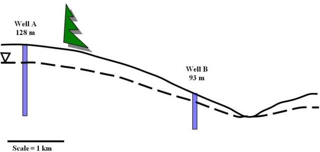   This image shows the gradient of the water table between Well A and Well B.Please note that the label for each well also displays the elevation of the water table in that well.Using the information present in the figure, calculate the hydraulic gradient of this cross section. A) 8 m/km B) 11.7 m/km C) 21.9 m/km D) 32 m/km