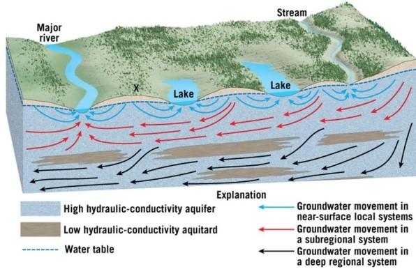   Examine the groundwater flow patterns around Point X.Into which bodies of water (if any) will water that infiltrates at Point X eventually discharge? A) Stream B) Left-hand lake C) Right-hand lake D) Major river