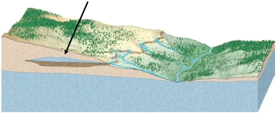   What feature is highlighted with an arrow in this image? A) Sinkhole B) Perched water table C) Cone of depression D) Ground subsidence