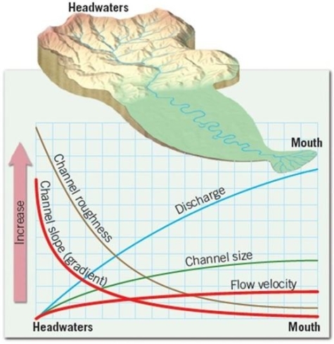   Using the information provided above, describe what changes will happen to the stream and its streamflow as the water moves from the head to the mouth. A) The channel roughness and slope decrease while the discharge, channel size, and flow velocity increase B) The channel size increases, which forces the flow velocity and discharge to decrease C) The channel roughness and slope increases while the discharge, channel size, and flow velocity decrease D) As the flow and channel size increase, so, too do the slope and roughness