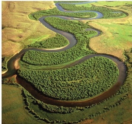   What kind of stream channel is visible here? A) Laminar channel B) Braided channel C) Meandering channel D) Overflow channel