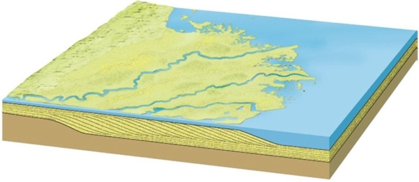  What depositional feature is visible here? A) Braided channel B) Terrace C) Incised meanders D) Delta