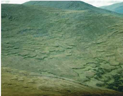   Assuming this location is near the Arctic Circle, what kind of mass wasting is visible in this image? A) Mudflow B) Creep C) Solifluction D) Rockslide