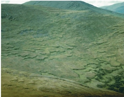   Which one of the following locations would be most likely to have the mass wasting process visible here? (Note: The region is underlaid by permafrost.)  A) Siberia B) Colorado C) Japan D) Kansas
