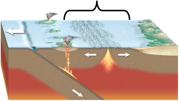   Which part of the subduction zone is indicated in this image? A) Deep-ocean trench B) Forearc basin C) Volcanic arc D) Back-arc basin