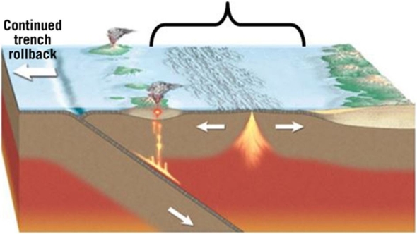   Notice the part of this image labeled  continued trench rollback.  What is happening in  trench rollback ? A) Old, dense lithosphere sinks, creating slab suction that pulls the upper plate toward the trench. B) Continued tension on the plate results in rifting, dropping blocks of continental crust. C) The trench gets deeper as the descending plate locks against the overriding plate and pulls it down. D) Rising magma plutons melt the base of the lithosphere to create a depression.