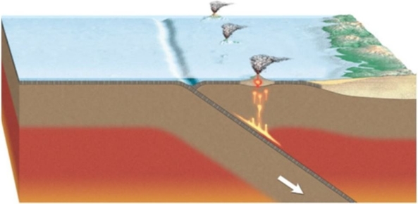   What kind of volcanic chain is present in this image? A) Hot spot volcanoes B) Volcanic island arc C) Continental volcanic arc D) Rift volcanoes