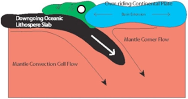   What geologic body is marked in this image by the circle? A) Batholith B) Accreted terrane C) Oceanic lithosphere D) Flood basalts