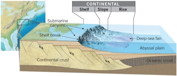   What kind of continental margin is visible in this image? A) Active B) Rift C) Passive D) Transform