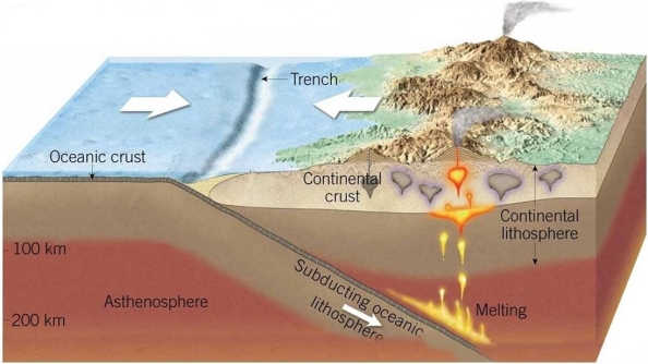   Give a location of where one might find the continental margin in this image. A) Off the coast of southern California B) Eastern margin of North America C) Western margin of South America D) Northern margin of North America