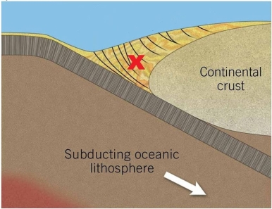   What feature in this image is indicated with arrow X? (Note: it is made of sediments.)  A) Deep-sea fan B) Accretionary wedge C) Turbidity current D) Deep-ocean trench