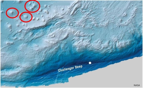   What submarine oceanic features are circled in this image? A) Seamounts B) Deep-sea fans C) Rift zones D) Faults