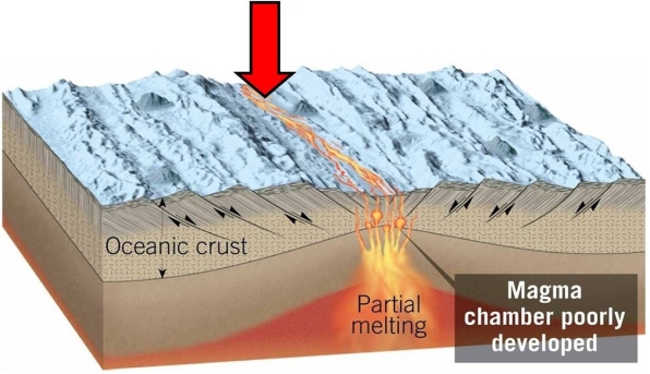   What is the name the physical feature in this diagram, marked with an arrow? A) Submarine canyon B) Deep-ocean basins C) Abyssal plains D) Rift valley