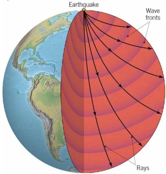 Which of these four images would accurately demonstrate the path seismic rays would take through the interior if the interior of Earth was made of uniform materials? A) B) C) D)
