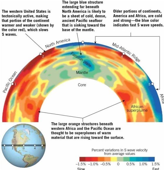   This seismic tomographic slice of Earth indicates the variations in S-wave speeds through the interior.Through which region will S waves move the fastest? A) Pacific Ocean B) Farallon plate C) Mid-Atlantic Ridge D) Africa