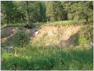   What feature, evidence of dip-slip activity, is shown in this image? A) Anticline B) Slickensides C) Fault scarp D) Joints