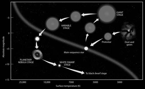 Briefly explain the sequence of events that are illustrated in Figure 24.11 below.  