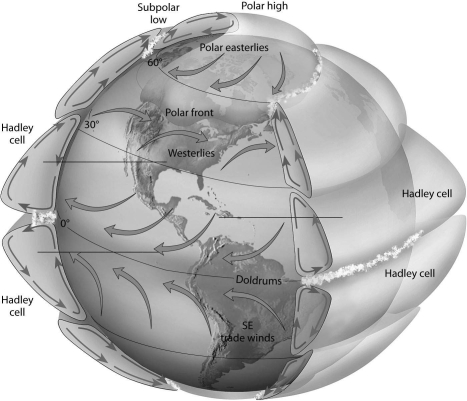 On the diagram below, label the Subtropical high, Equatorial low, and the Trade Winds.  