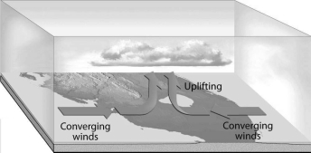 Name the processes that are illustrated in the diagrams below. A.   B.   C.   D.  