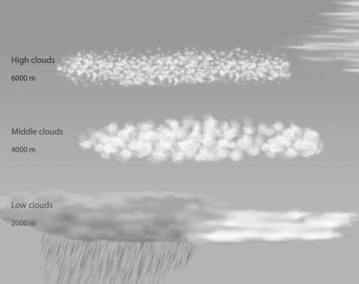 Label the various clouds on the diagram below.  