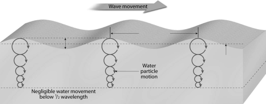 Label the basic parts of a wave on the diagram below.  