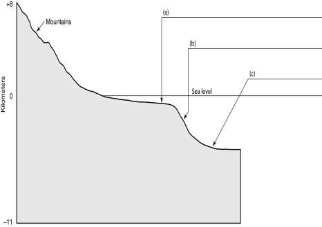 Label the different features of the passive continental margin on the diagram below.  