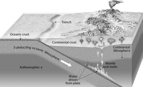 What is the name of the chain of volcanoes below that forms at an oceanic to continental plate boundary?  