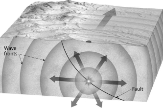 Label the focus and epicenter on the diagram below.  