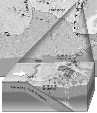 Match the letter of each illustration below to the correct type of plate boundary. A) transform B) divergent C) convergent   (a) __________   (b) __________   (c) __________