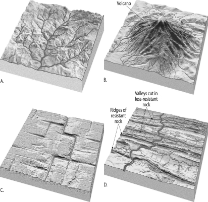On the spaces below, name the type of drainage pattern that is shown in each illustration.   (A) ______________________________ (B) ______________________________ (C) ______________________________ (D) ______________________________