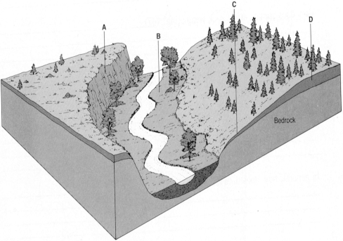 Carefully examine the illustration below and the features labeled A through D. Give a letter (A, B, C, or D) for each answer below.     (a) At which location would the thickest residual soil develop? __________ (b) At which location would the greatest amount of frost wedging occur? __________ (c) At which location would the thickest transported soil develop? __________ (d) At which location would there be the most unconsolidated deposits? __________