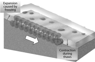What process of mass wasting is illustrated in the diagram below?  