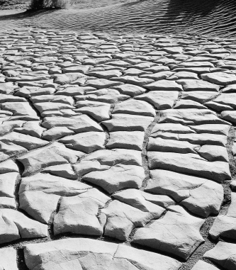 a. What kind of sedimentary structure is pictured in the photograph below? b. Explain how this kind of sedimentary structure forms.  