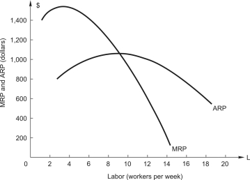 A manager of a firm with market power faces the marginal revenue product and average revenue product curves shown below.The firm incurs weekly fixed costs of $1,800.The firm employs a single variable input,labor,which costs $600 per worker each week.   Given the above,in profit-maximizing (or loss-minimizing) equilibrium,the firm's total variable costs are A) $12,000. B) $6,000. C) $600. D) $400. E) none of the above