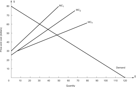   The figure above shows the demand and cost conditions for a firm with two plants.In order to maximize profit,how many units of output should the firm produce? A) 10 B) 20 C) 30 D) 40 E) 50